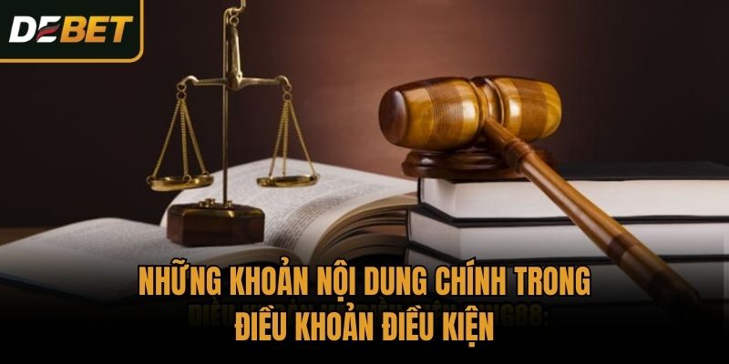 Những khoản nội dung chính trong điều khoản điều kiện